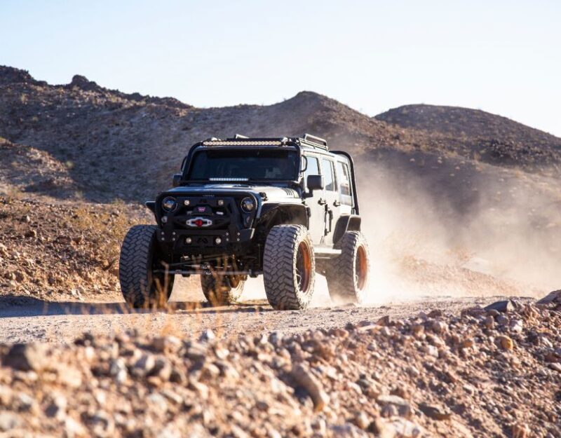 Las Vegas- Offroad Experience Wildlife, Ghost Towns and more - What’s Included and Practicalities