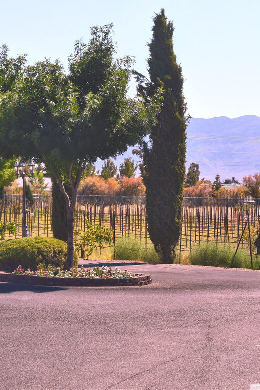 Las Vegas / Pahrump Wine Tasting Tour and snacks - An In-Depth Look at the Pahrump Wine Tasting Tour