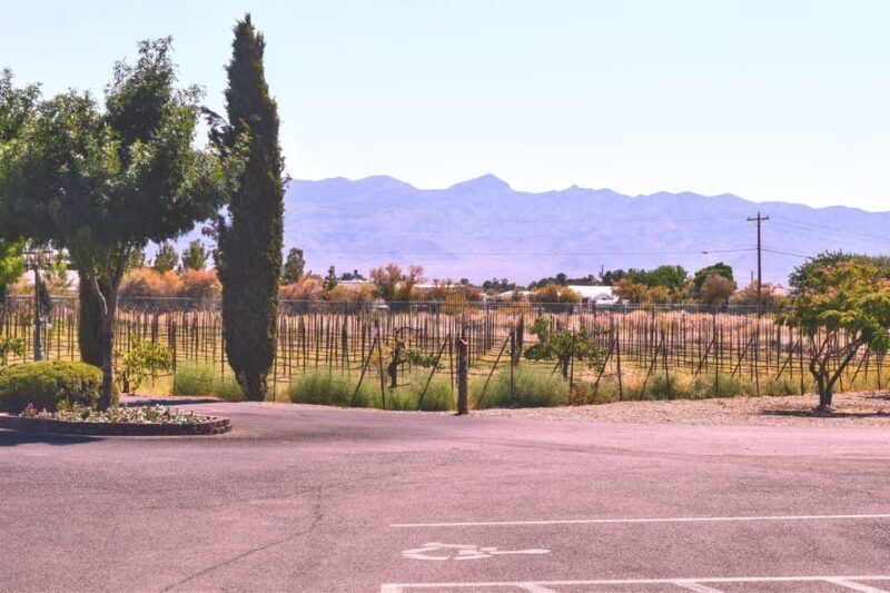 Las Vegas / Pahrump Wine Tasting Tour and snacks - Final Thoughts