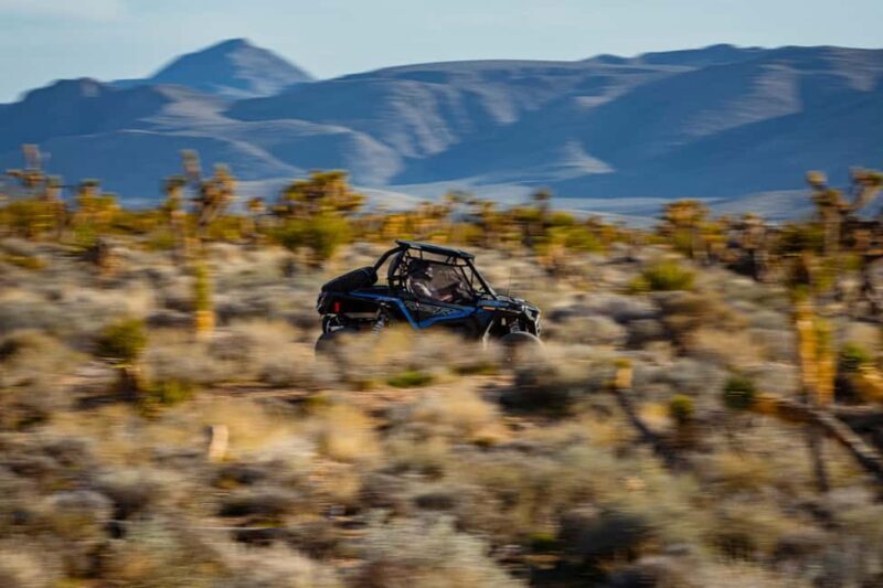 Las Vegas Pioneer Saloon | SXS Off Road Tour With Lunch! - Final Impressions and Who Should Book?