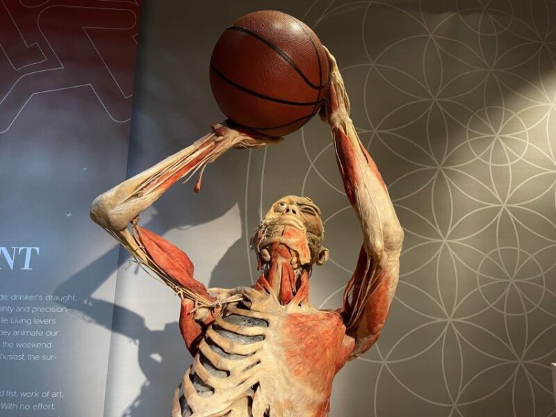Las Vegas: REAL BODIES at Horseshoe Las Vegas Entry Ticket - A Deep Dive into the Experience