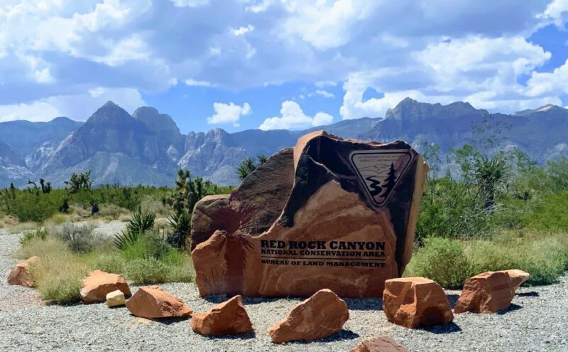 Las Vegas: Red Rock Canyon & Whimsical Cactus Joe's + Lunch - Key Points