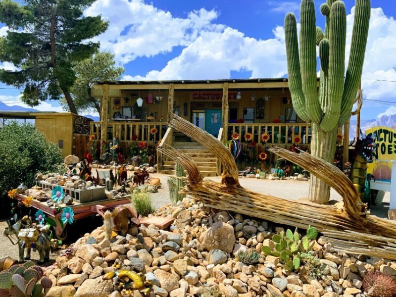 Las Vegas: Red Rock Canyon & Whimsical Cactus Joe's + Lunch - A Scenic Journey to Red Rock Canyon