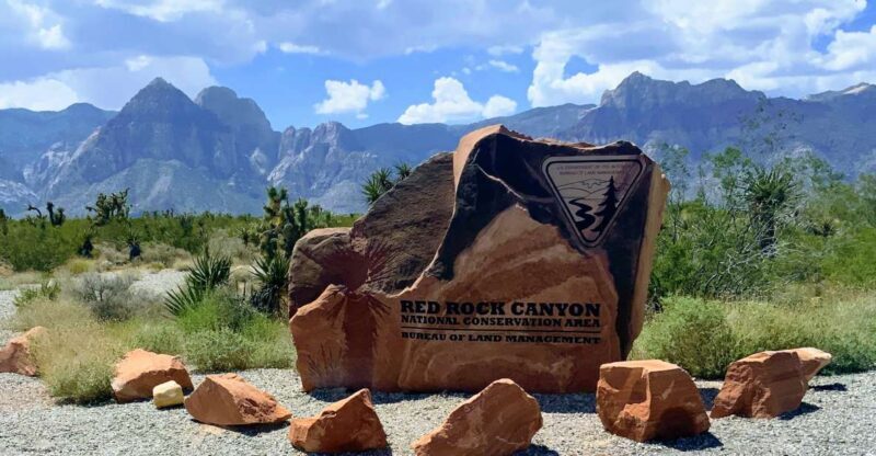 Las Vegas: Red Rock Canyon & Whimsical Cactus Joe's + Lunch - A Picnic Lunch in Nature