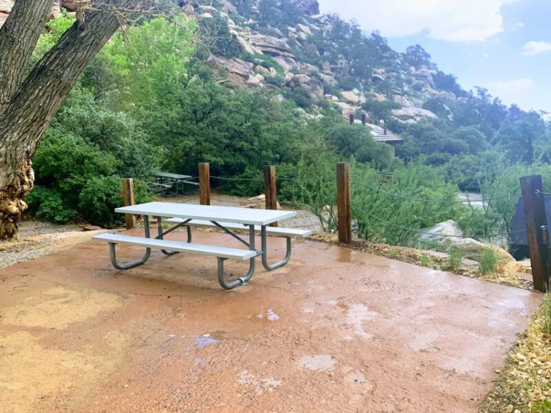 Las Vegas: Red Rock Canyon & Whimsical Cactus Joe's + Lunch - Logistics and Practical Details