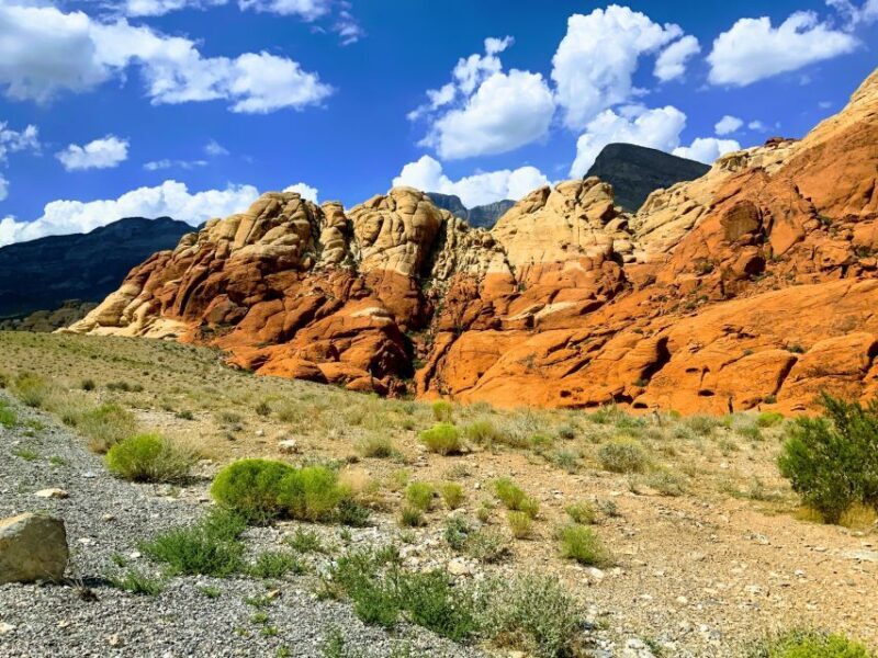 Las Vegas: Red Rock Canyon & Whimsical Cactus Joe's + Lunch - Who Will Love This Tour?