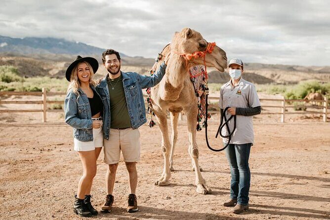 Las Vegas Safari Tram Ride and Zoo Tour at Camel Safari - The Experience in Detail
