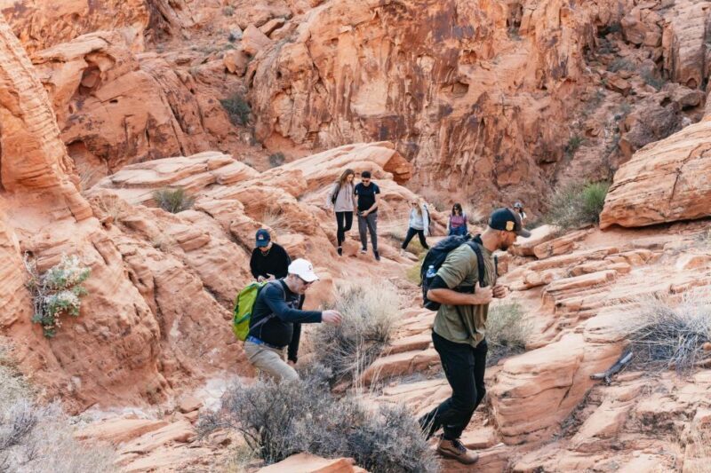 Las Vegas: Valley of Fire Guided Hike with Drinks and Snacks - The Value of the Tour