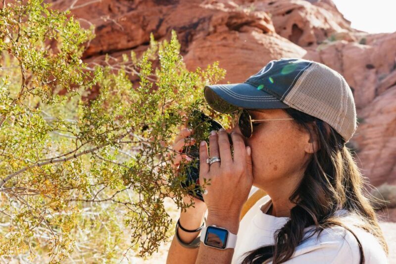 Las Vegas: Valley of Fire Guided Hike with Drinks and Snacks - What to Bring and Considerations