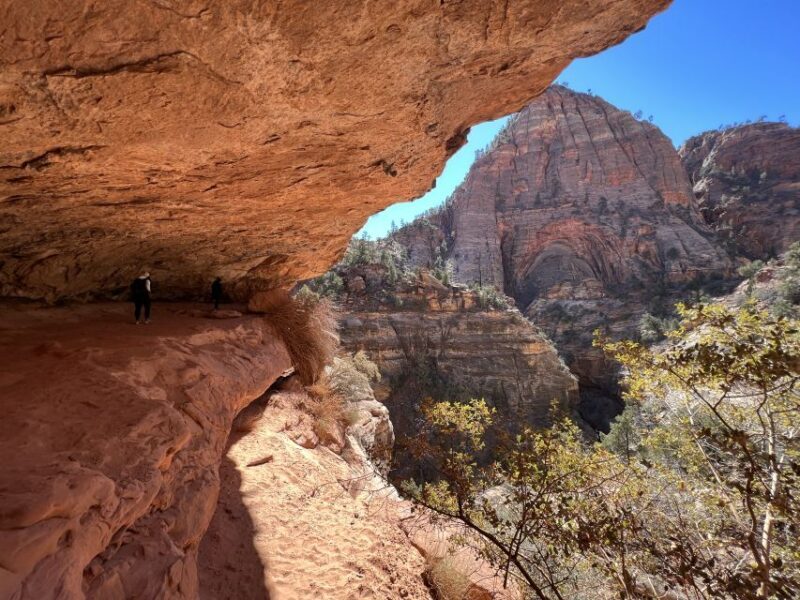 Las Vegas: VIP Guided Photography & Hiking Tour of Zion NP - An Overview of What You Can Expect