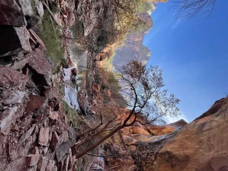 Las Vegas: VIP Guided Photography & Hiking Tour of Zion NP - Transportation and Comfort