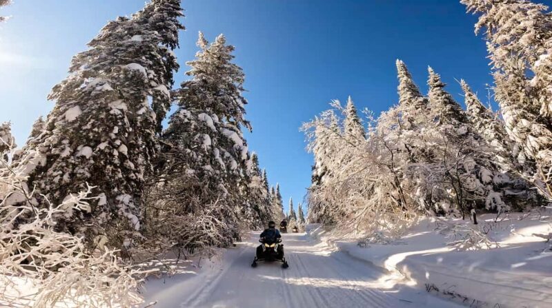 L'Ascension: Snowmobiling Upper Laurentians 2hrs - Authentic Feedback from Previous Participants