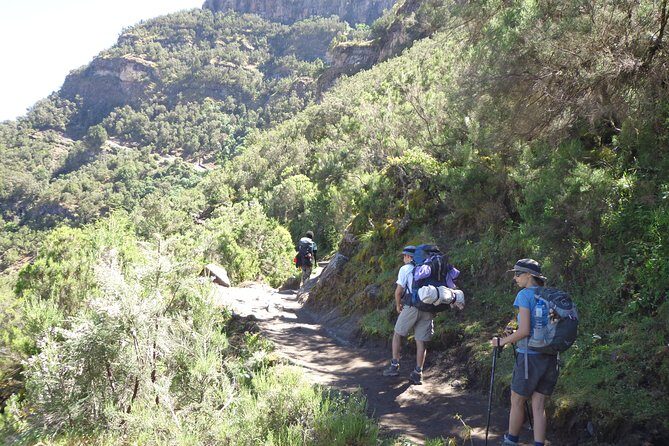 Lasta Mountains: Highland Eco Trekking Tour in Lalibela - Authentic Encounters and Reviews