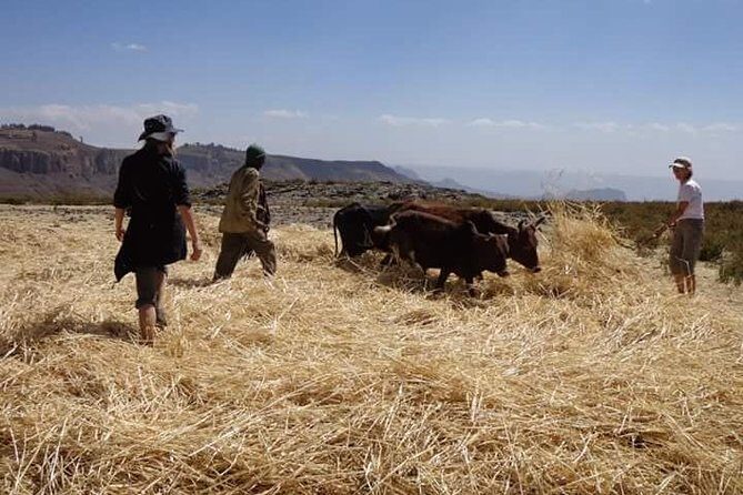 Lasta Mountains: Highland Eco Trekking Tour in Lalibela - Final Thoughts: Who Will Love This Tour?