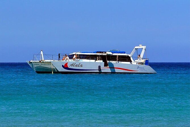 Late-Morning Whale Watch from Kawaihae - Authenticity and Review Highlights