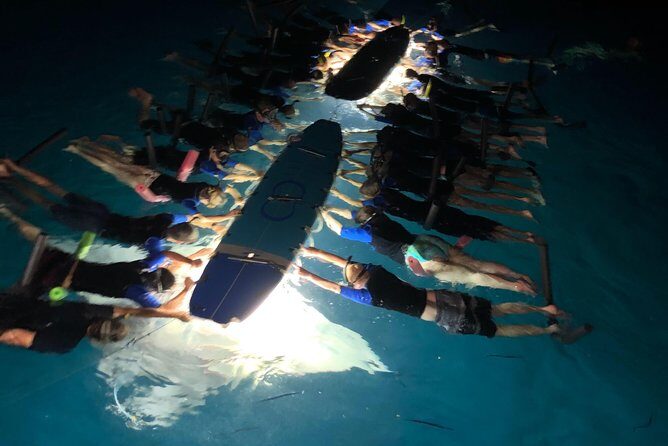Late Night Manta Snorkel - The Real Deal: Authenticity and Authentic Experience
