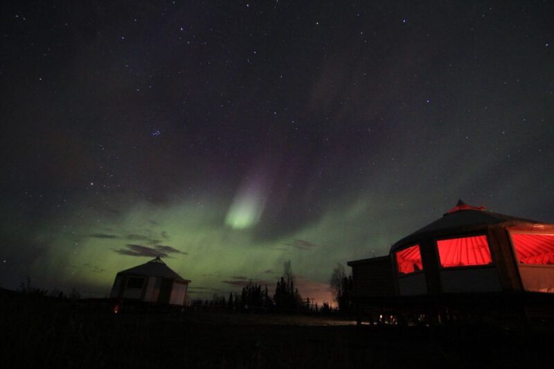 Late Night Yurt Dinner and Northern Lights - Who Should Book This Tour?