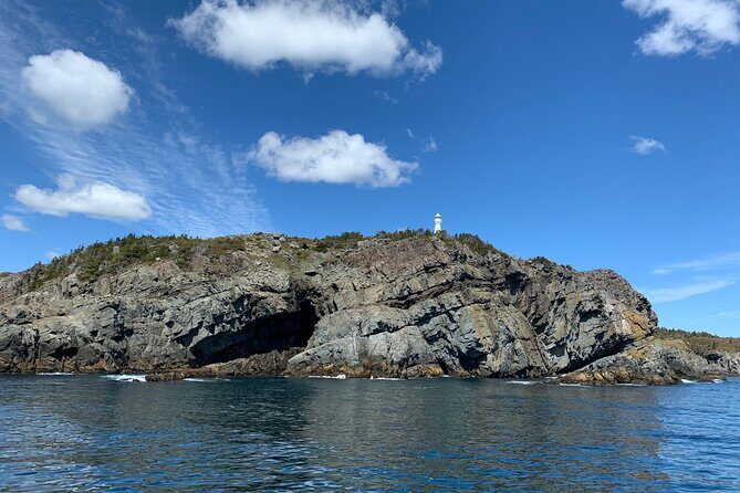 Late Season Puffin & Scenic Coastal Cruise - FAQ