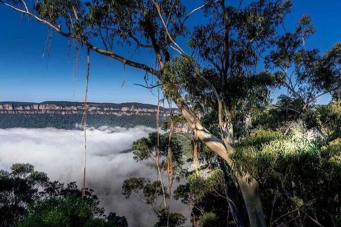 Late Start Blue Mountains Nature, Waterfalls, Koalas Small Group - FAQs