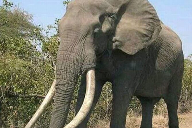 Latest Updates On The Top Best 3 day Serengeti Migration Safari - The Sum Up