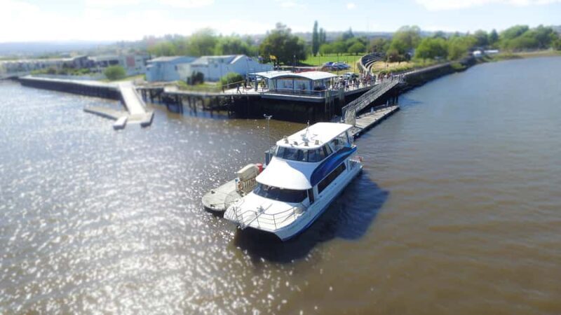 Launceston: 2.5-Hour Afternoon Discovery Cruise - Why this cruise shines