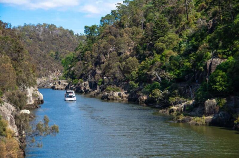 Launceston: 4-Hour Batman Bridge Luncheon Cruise - Accessibility and Practical Details