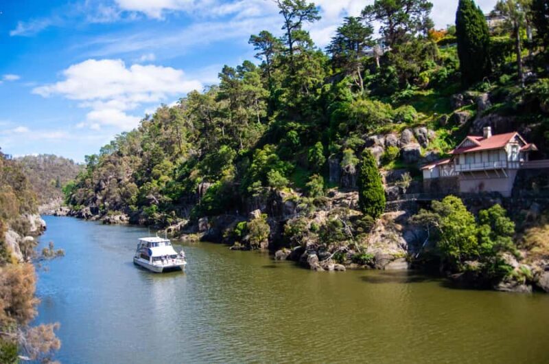 Launceston: 4-Hour Batman Bridge Luncheon Cruise - Final Thoughts: Who Will Love This Cruise?