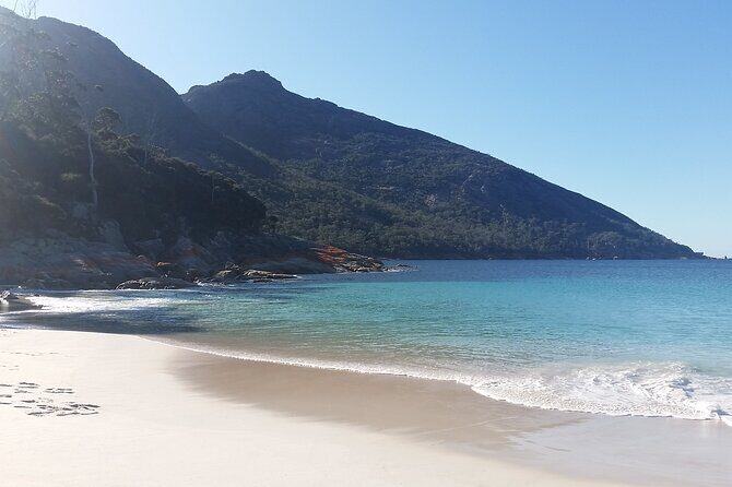 Launceston: Freycinet & Wineglass Bay Explorer Day Trip - The Sum Up