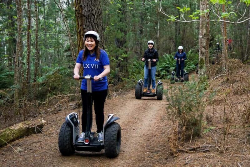 Launceston: Hollybank Forest Guided Segway Tour with Photos - The Setting: Hollybank Forest Near Launceston