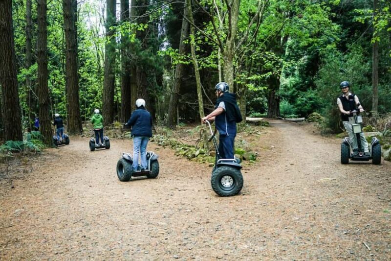 Launceston: Hollybank Forest Guided Segway Tour with Photos - What the Tour Involves