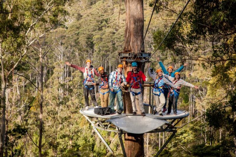 Launceston: Hollybank Forest Treetop Zip Lining with Guide - Who Should Consider This Tour?