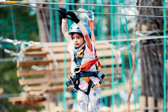 Launceston Hollybank Junior Tree Ropes Course - What to Expect: A Family-Friendly Tree-top Adventure