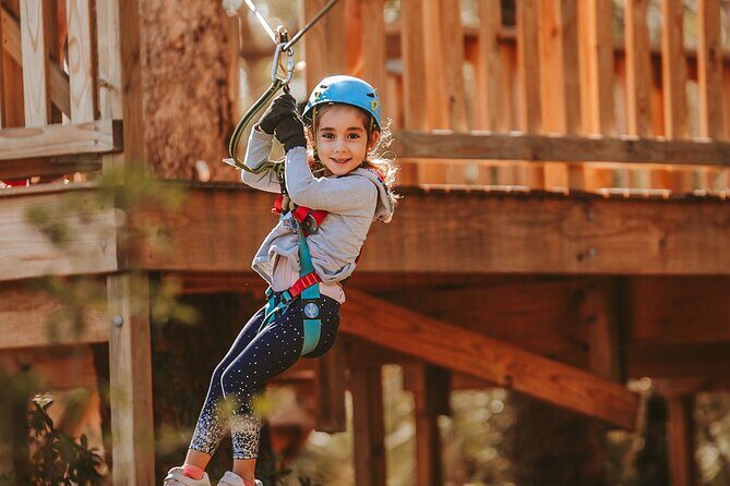 Launceston Hollybank Junior Tree Ropes Course - The Sum Up: Is It Worth It? Who Will Love It?