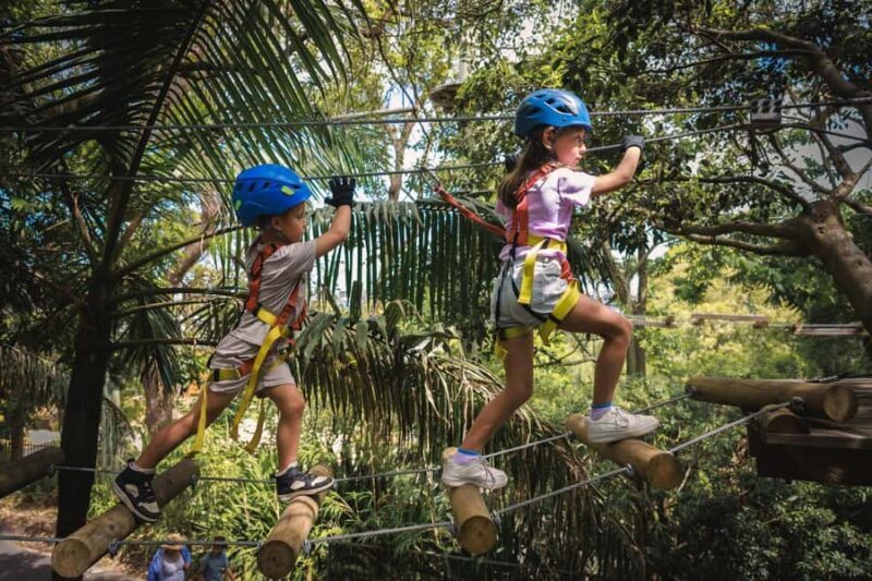 Launceston: Hollybank Junior Tree Ropes Course - Analyzing the Experience