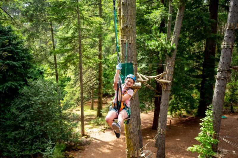 Launceston: Hollybank Tree Ropes Course - The Value and Who Should Consider It