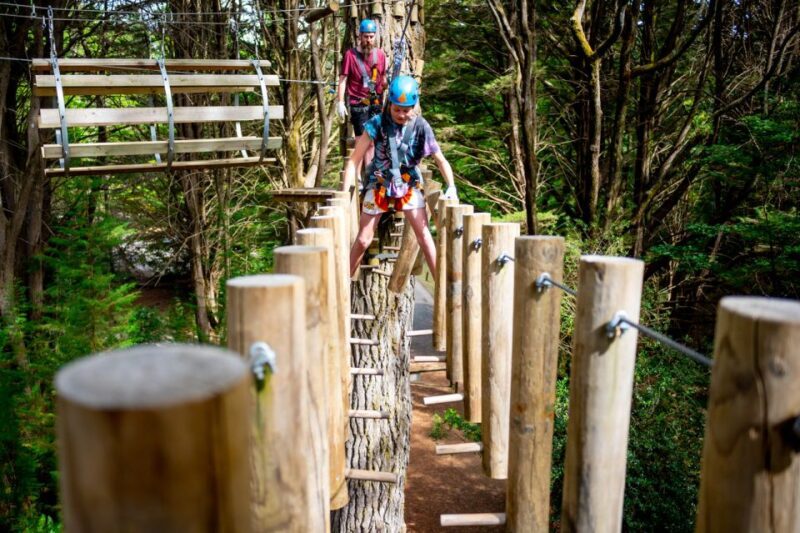 Launceston: Hollybank Tree Ropes Course - The Sum Up