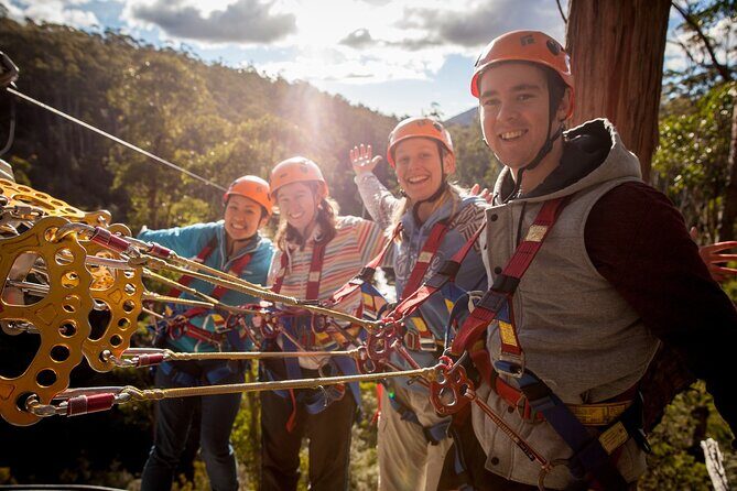 Launceston Hollybank Tree Ropes Experience - Key Points