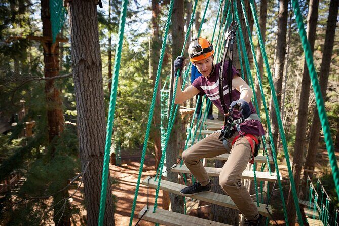 Launceston Hollybank Tree Ropes Experience - Final Thoughts