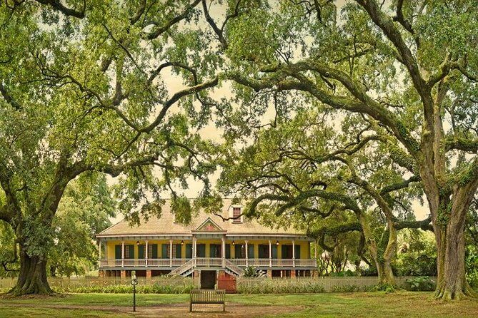 Laura Plantation & Airboat Tours - Who Should Consider This Tour?