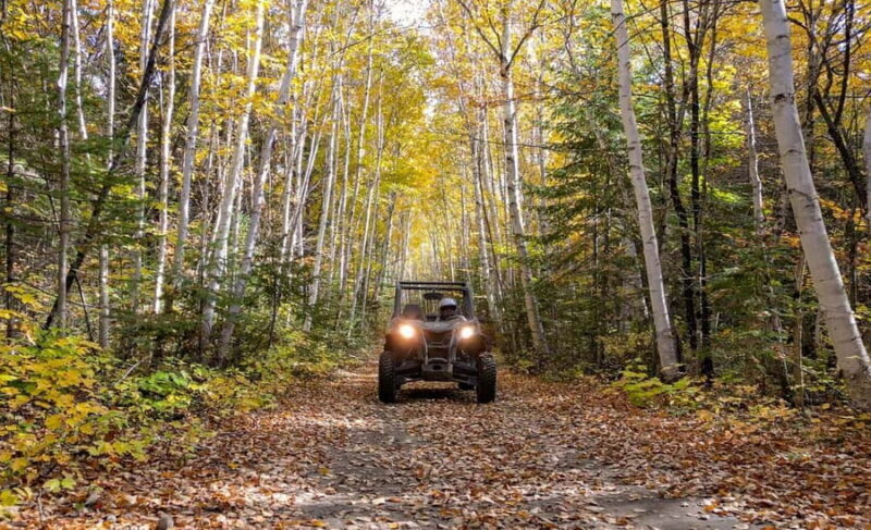 Laurentians: guided buggy tour - An In-Depth Look at the Guided Buggy Tour Experience