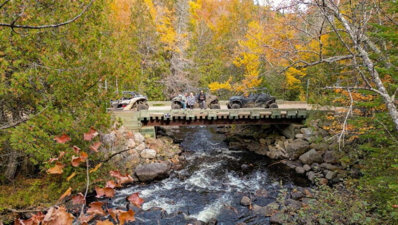 Laurentians: guided buggy tour - Who Will Love This Tour?