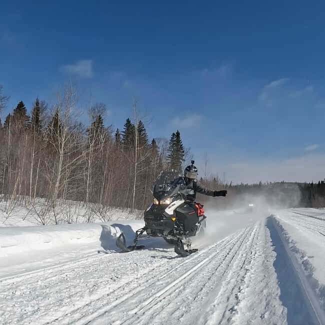 Laurentians: Snowmobile Guided Tour - Who Will Love This Tour?