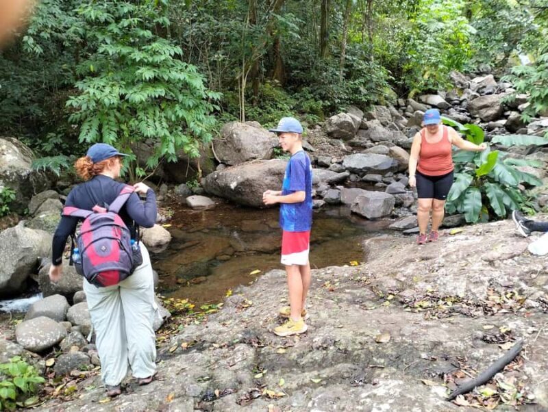 Lautoka: Abaca Waterfall Hike and Swim Day Trip - Authentic Experiences and Feedback from Travelers