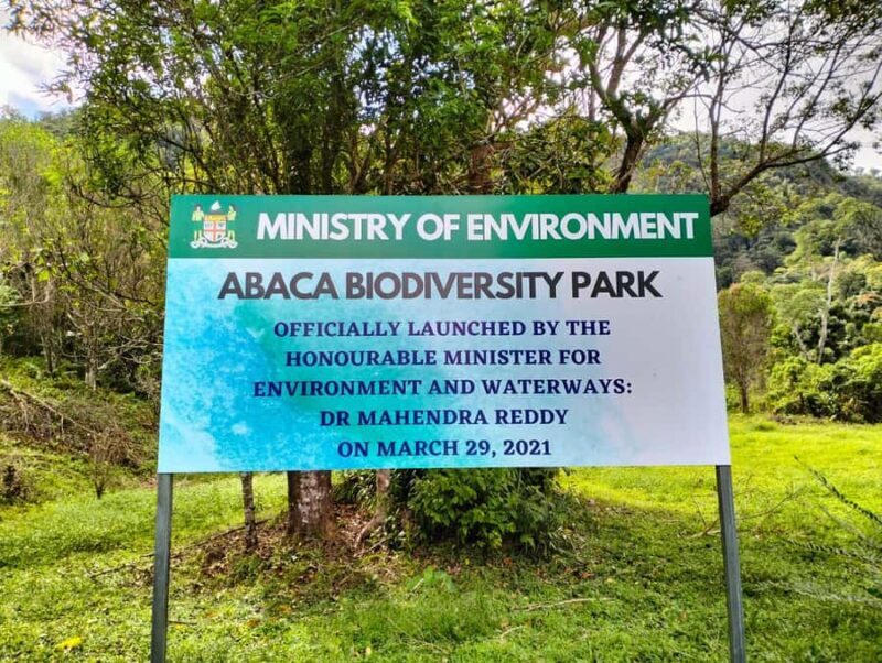 Lautoka: Abaca Waterfall Hike and Swim Day Trip - Summary: Who Is This Tour Best For?