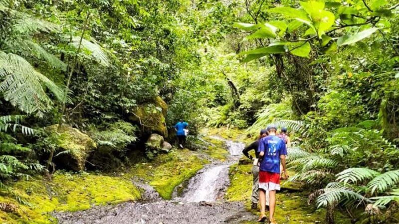 Lautoka: Abaca Waterfall Hike and Swim Day Trip - Final Thoughts