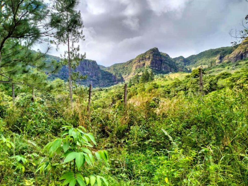 Lautoka CruiseShip Port to Abaca Waterfall Hiking Round Trip - The Journey Begins: From Lautoka Port to Abaca Village