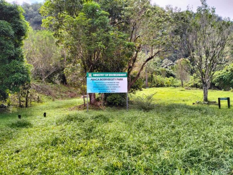 Lautoka CruiseShip Port to Abaca Waterfall Hiking Round Trip - The Hike to the Waterfall: A Moderate Challenge