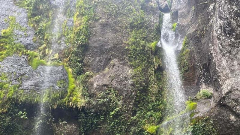 Lautoka CruiseShip Port to Abaca Waterfall Hiking Round Trip - The Value Proposition