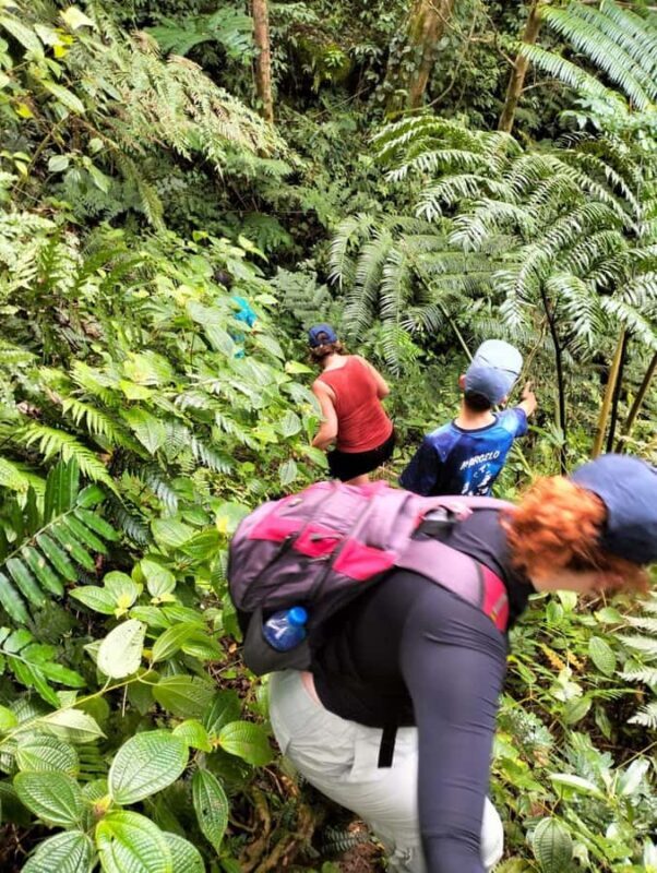 Lautoka CruiseShip Port to Abaca Waterfall Hiking Round Trip - Who Will Love This Tour?
