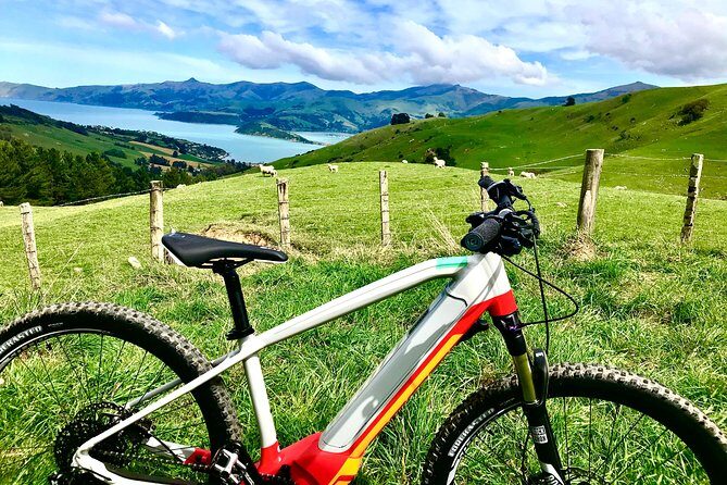 Lava Loop- Guided electric mountain bike tour in Akaroa - The Itinerary in Detail